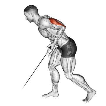 Triceps Cable Kickback