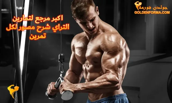 تمارين التراي