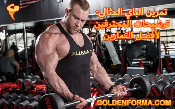 تمرين الباي المثالي